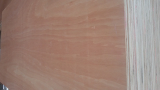 1220x2440 fac_back red color Plywood